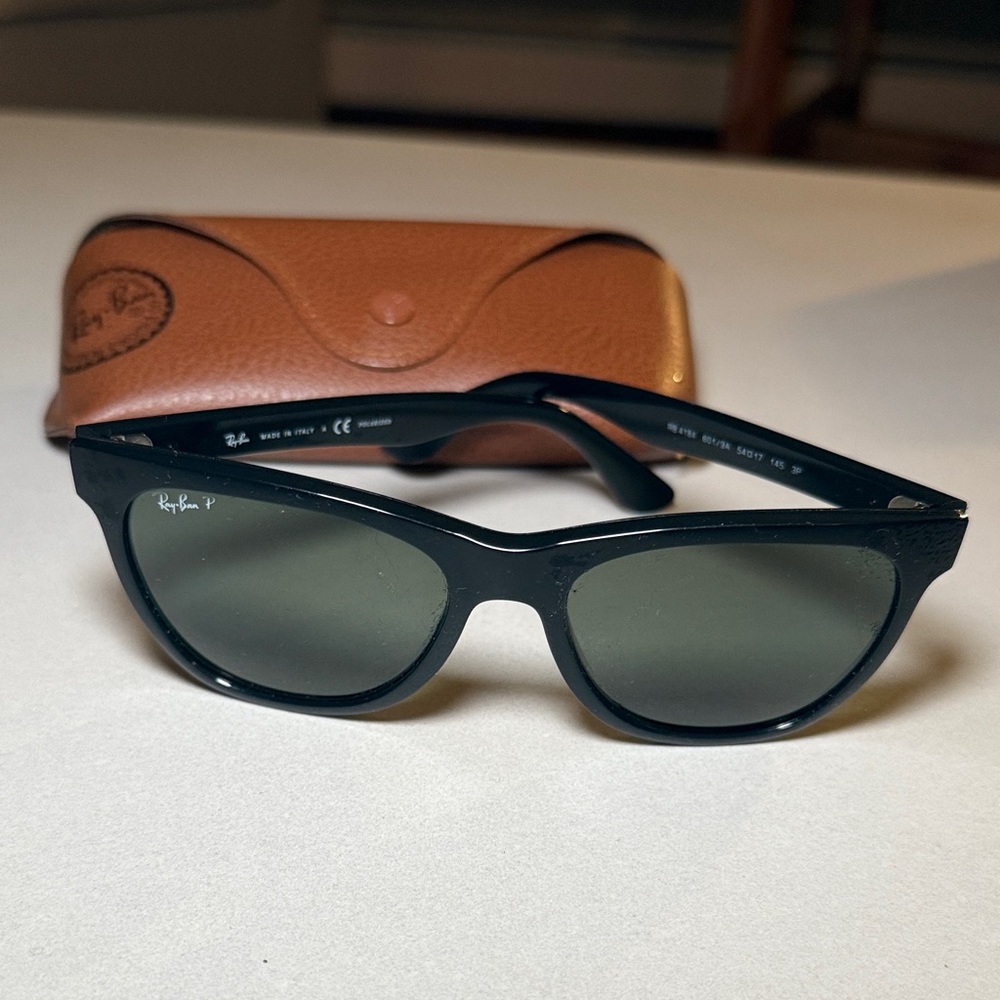 Ray-Ban Black Frame Sunglasses with Brown Case